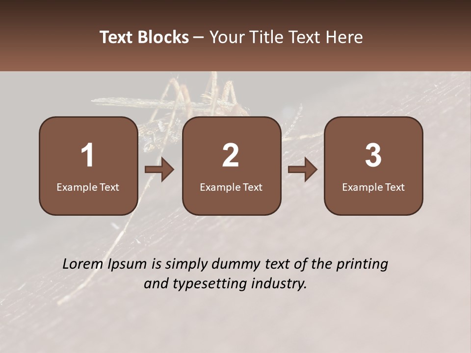 Daughter Water Elderly PowerPoint Template