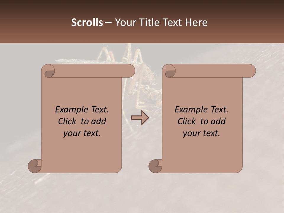 Daughter Water Elderly PowerPoint Template