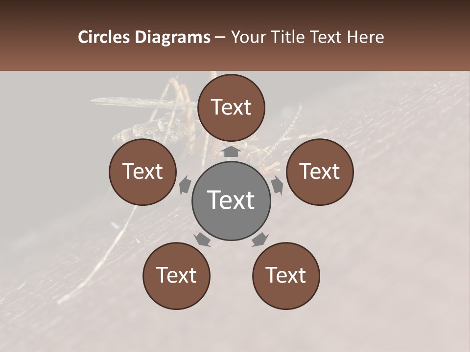 Daughter Water Elderly PowerPoint Template