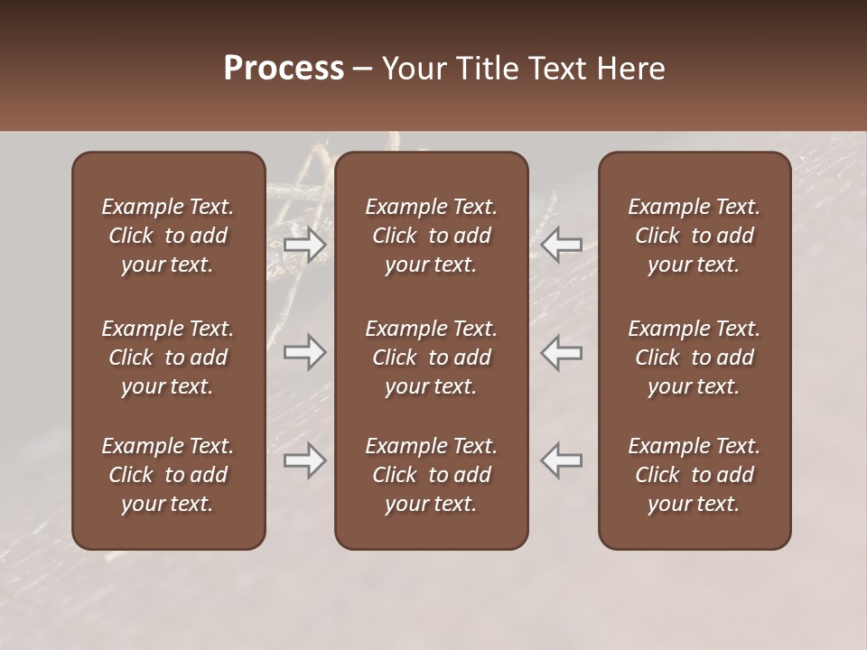 Daughter Water Elderly PowerPoint Template