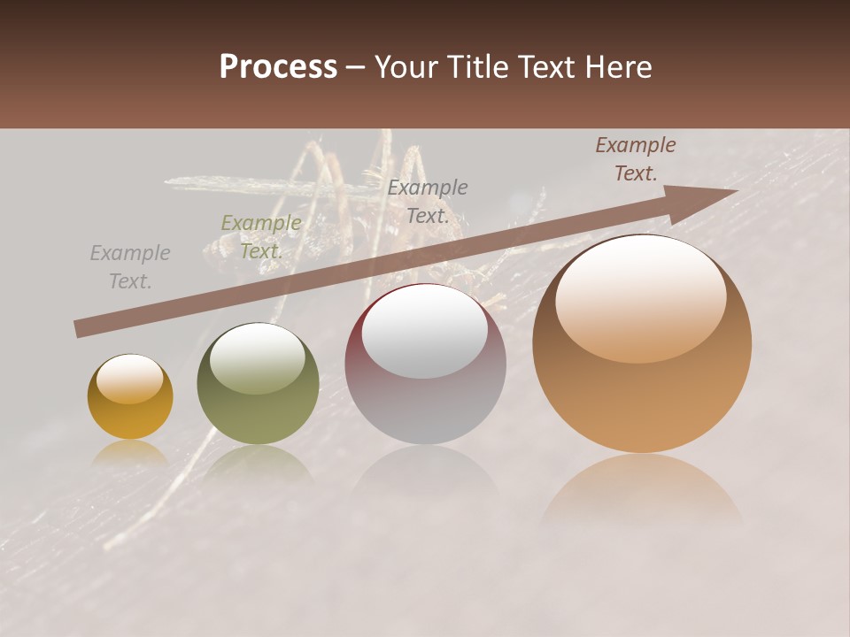 Daughter Water Elderly PowerPoint Template