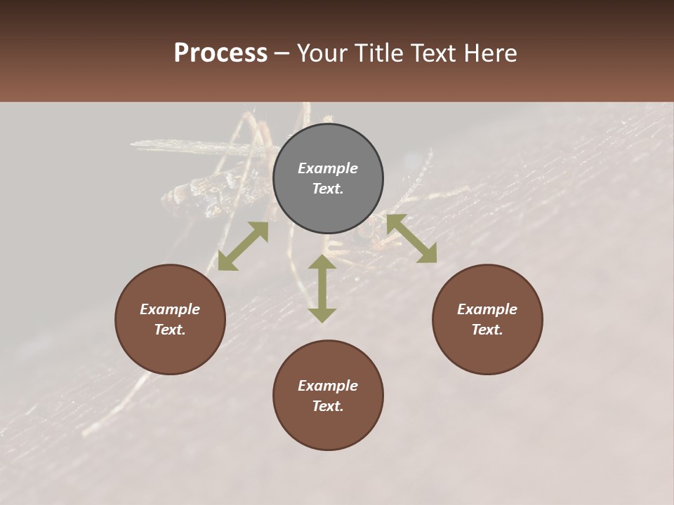 Daughter Water Elderly PowerPoint Template