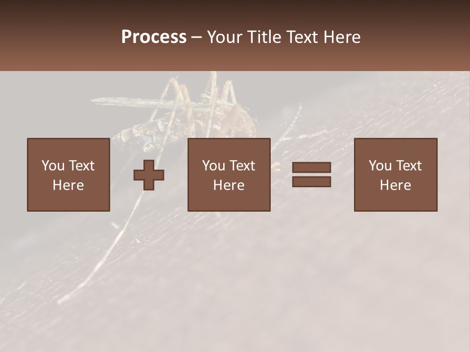 Daughter Water Elderly PowerPoint Template