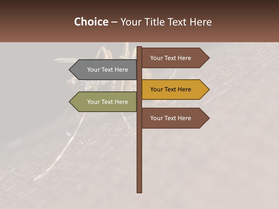 Daughter Water Elderly PowerPoint Template