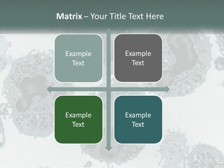 Caucasian Water Older PowerPoint Template