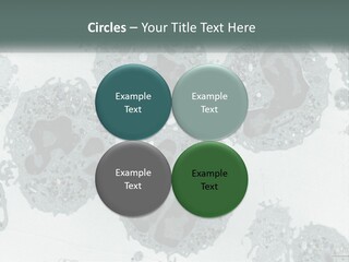 Caucasian Water Older PowerPoint Template