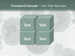 Caucasian Water Older PowerPoint Template