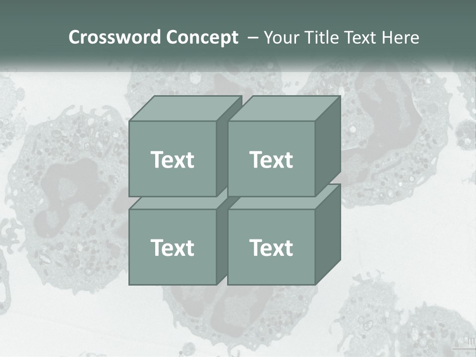 Caucasian Water Older PowerPoint Template