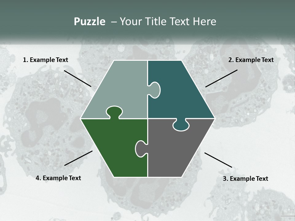 Caucasian Water Older PowerPoint Template