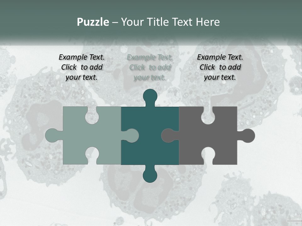 Caucasian Water Older PowerPoint Template