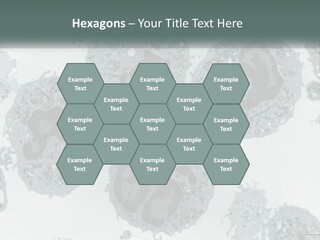 Caucasian Water Older PowerPoint Template