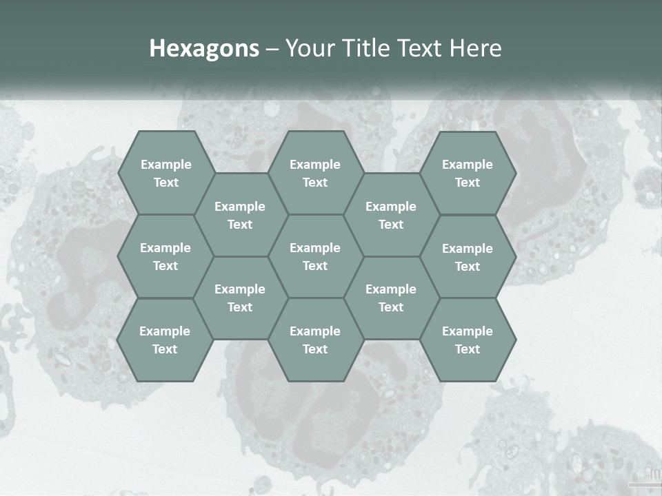 Caucasian Water Older PowerPoint Template