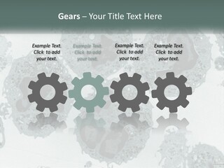Caucasian Water Older PowerPoint Template