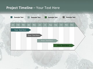 Caucasian Water Older PowerPoint Template