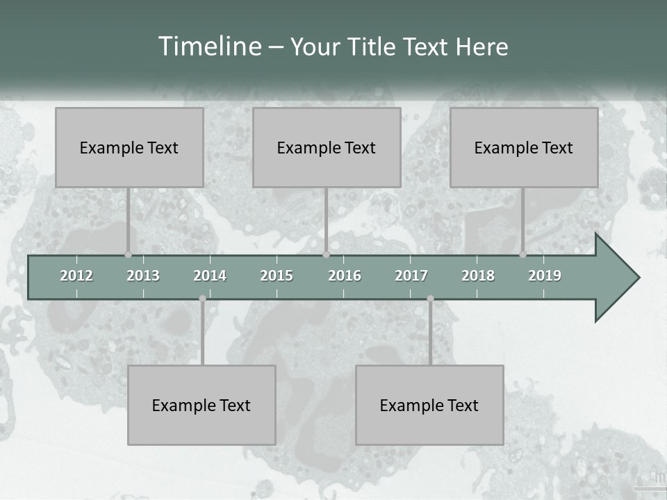 Caucasian Water Older PowerPoint Template