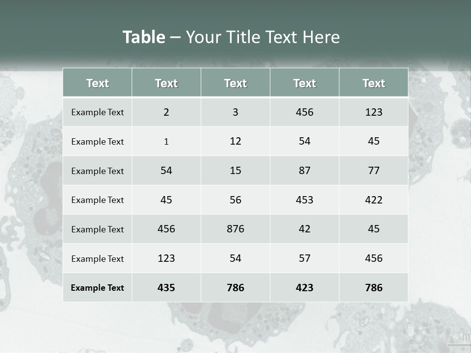 Caucasian Water Older PowerPoint Template
