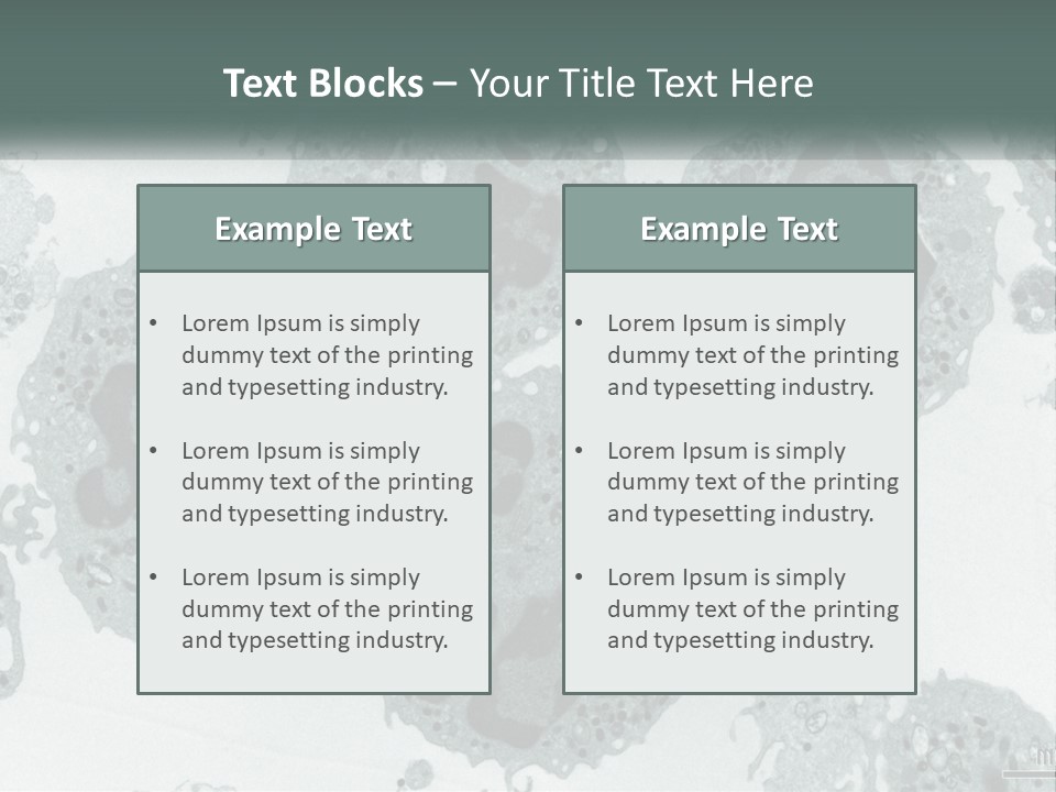 Caucasian Water Older PowerPoint Template