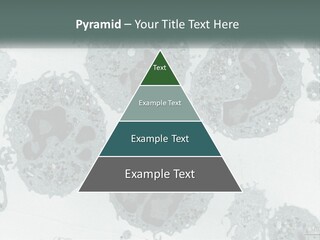 Caucasian Water Older PowerPoint Template