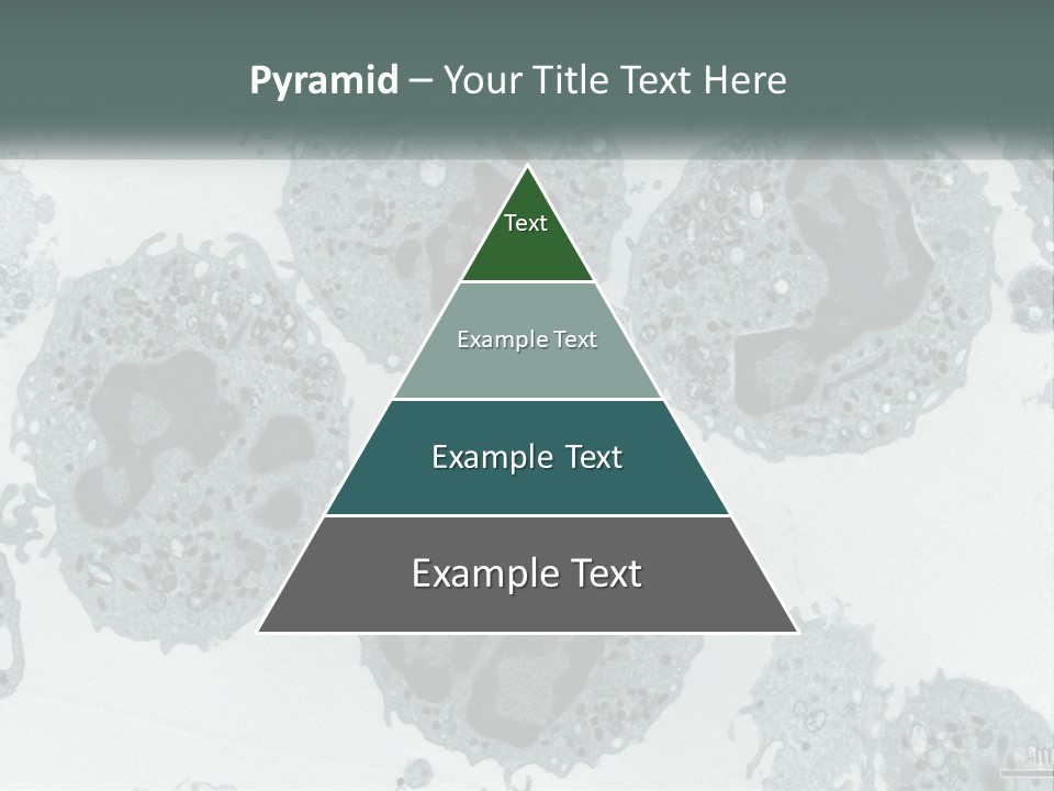 Caucasian Water Older PowerPoint Template