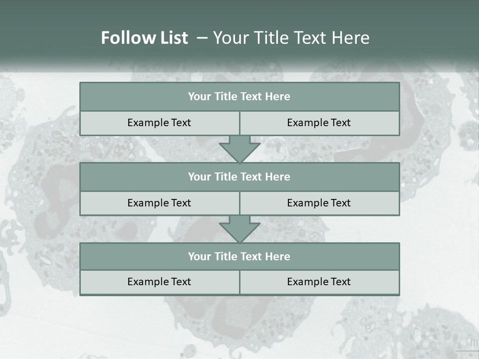 Caucasian Water Older PowerPoint Template