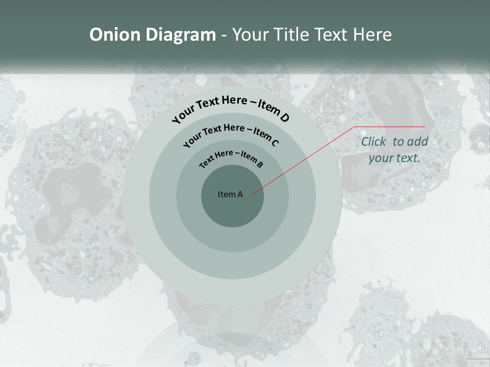 Caucasian Water Older PowerPoint Template