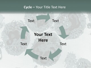 Caucasian Water Older PowerPoint Template