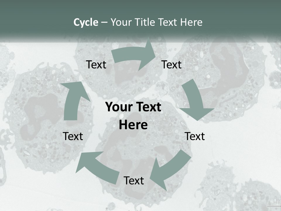 Caucasian Water Older PowerPoint Template