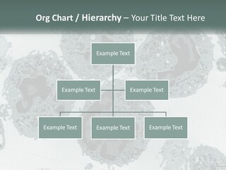 Caucasian Water Older PowerPoint Template