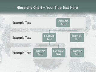 Caucasian Water Older PowerPoint Template