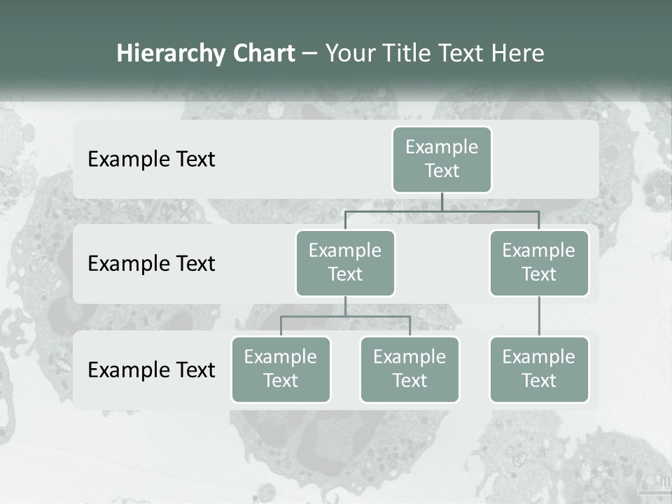 Caucasian Water Older PowerPoint Template