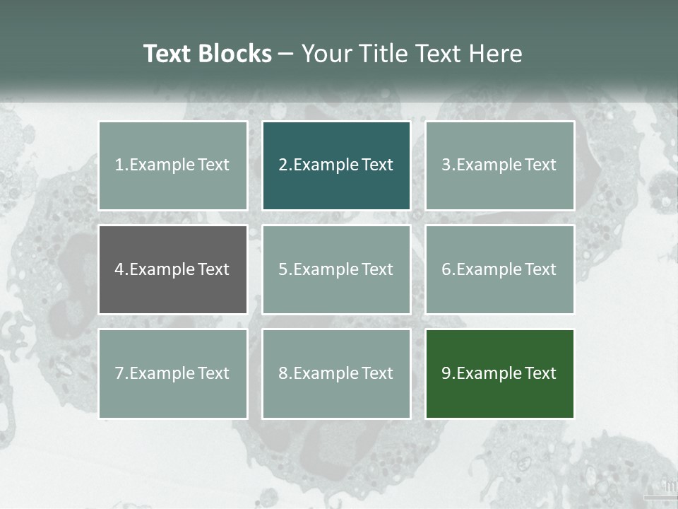 Caucasian Water Older PowerPoint Template