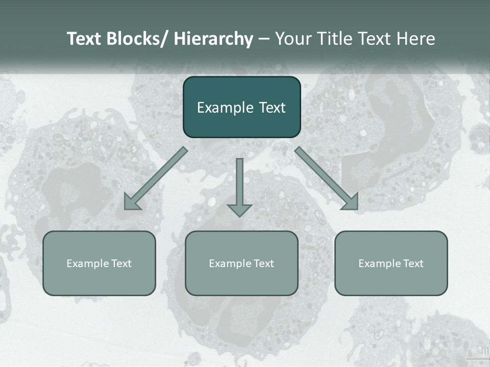 Caucasian Water Older PowerPoint Template