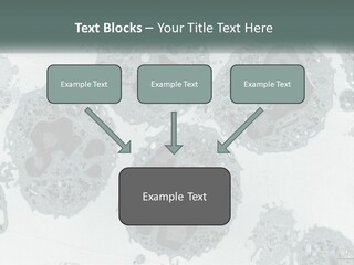 Caucasian Water Older PowerPoint Template