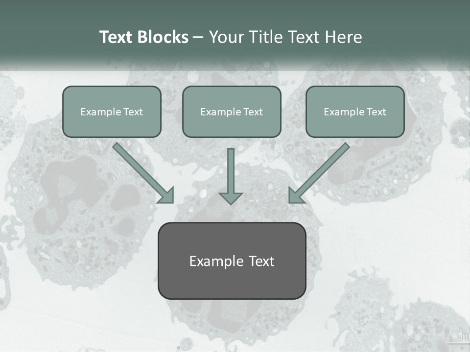 Caucasian Water Older PowerPoint Template