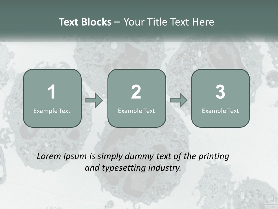 Caucasian Water Older PowerPoint Template