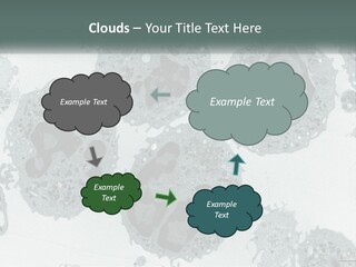 Caucasian Water Older PowerPoint Template