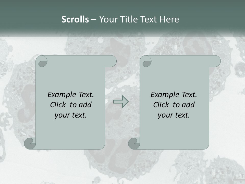 Caucasian Water Older PowerPoint Template