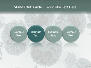 Caucasian Water Older PowerPoint Template