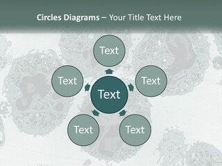 Caucasian Water Older PowerPoint Template