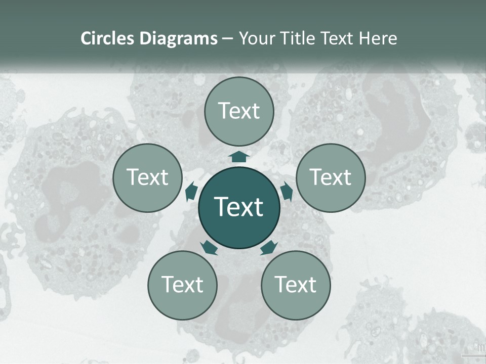 Caucasian Water Older PowerPoint Template