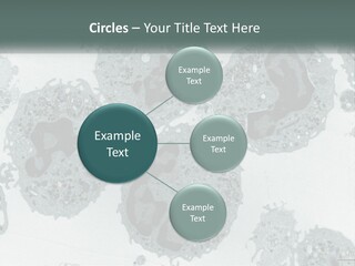 Caucasian Water Older PowerPoint Template