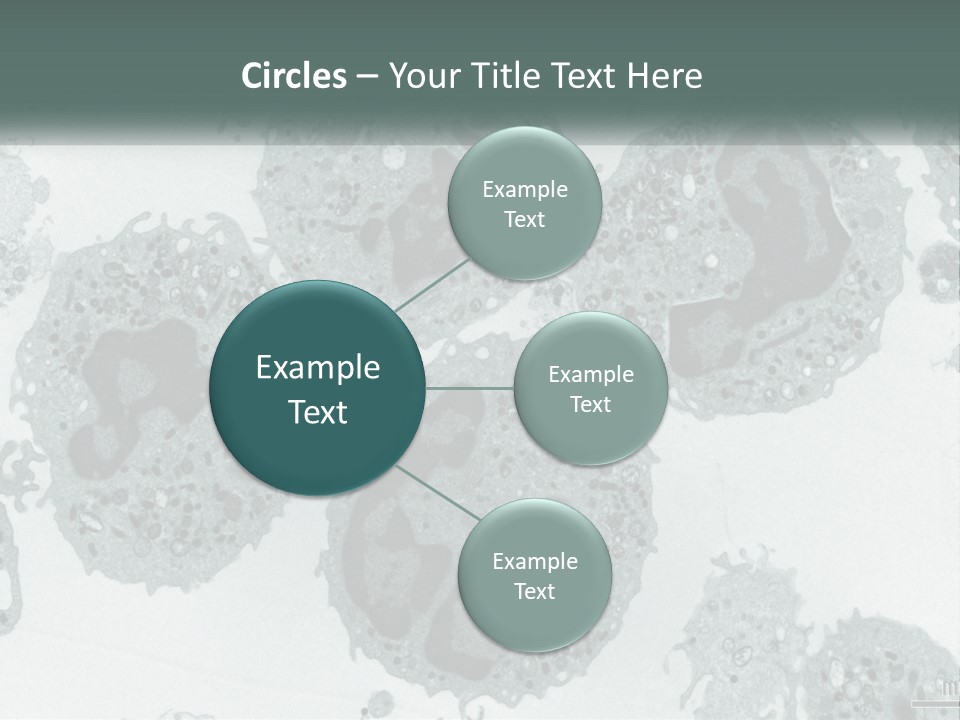 Caucasian Water Older PowerPoint Template