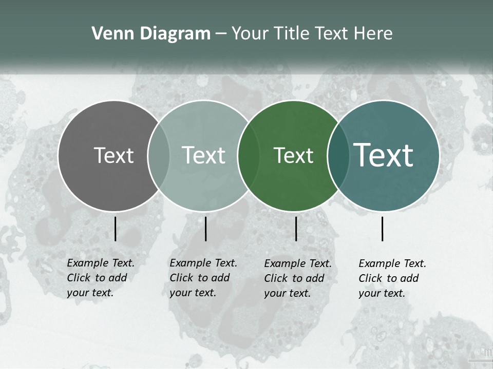 Caucasian Water Older PowerPoint Template