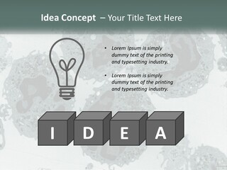 Caucasian Water Older PowerPoint Template