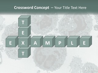 Caucasian Water Older PowerPoint Template