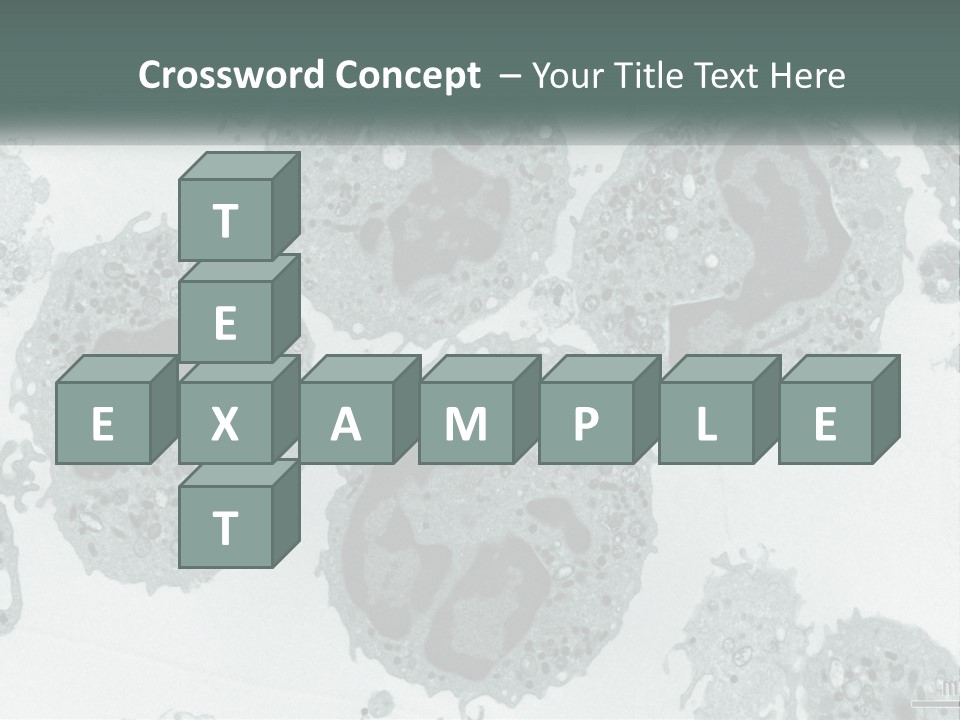 Caucasian Water Older PowerPoint Template