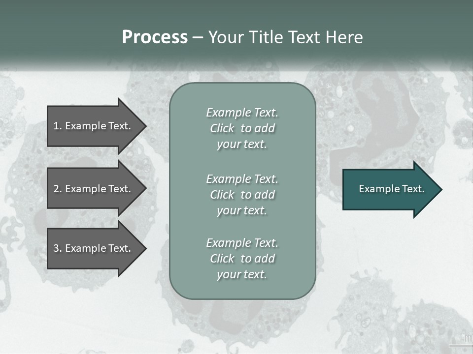 Caucasian Water Older PowerPoint Template