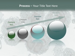 Caucasian Water Older PowerPoint Template