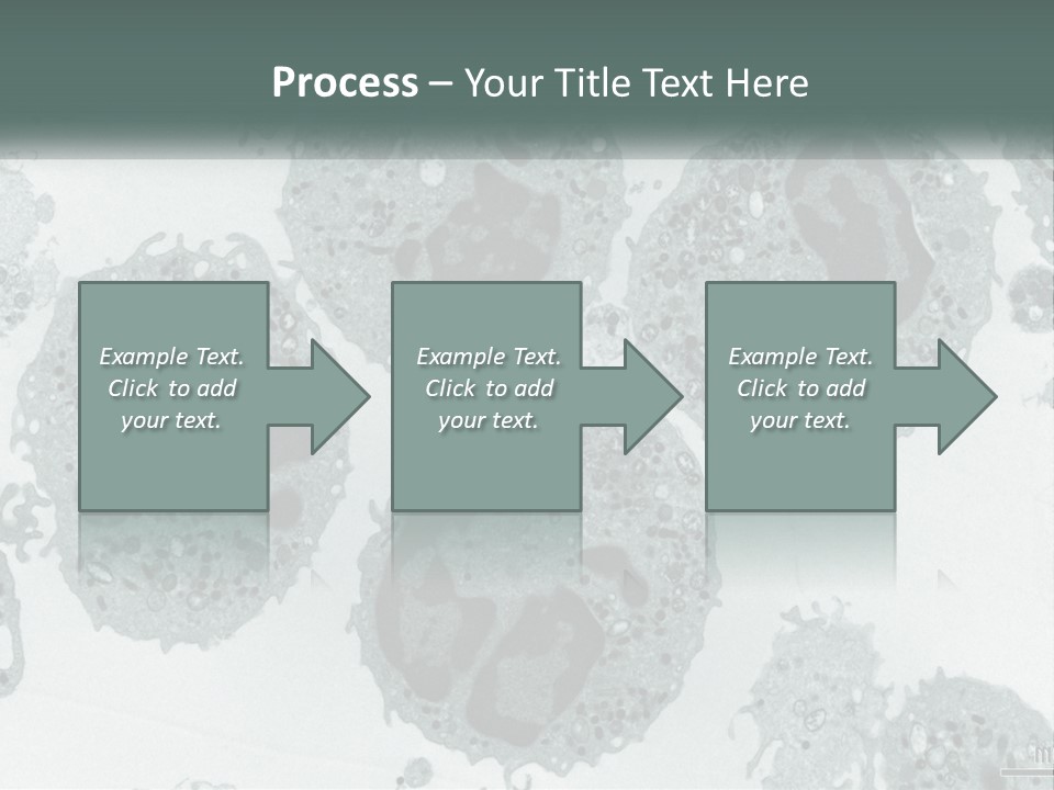 Caucasian Water Older PowerPoint Template