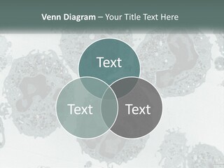 Caucasian Water Older PowerPoint Template